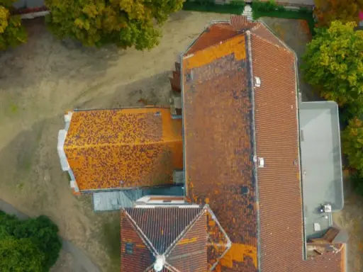 Blada cera? Odkryj idealny kolor włosów! Test i porady eksperta