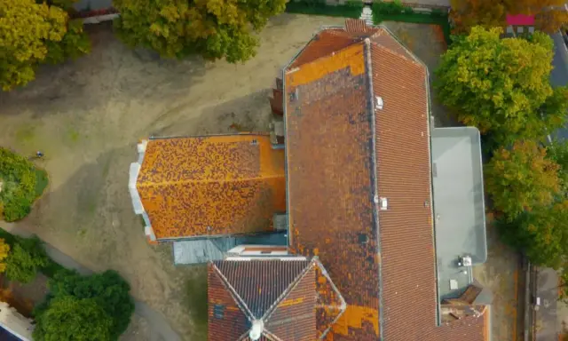 Blada cera? Odkryj idealny kolor włosów! Test i porady eksperta